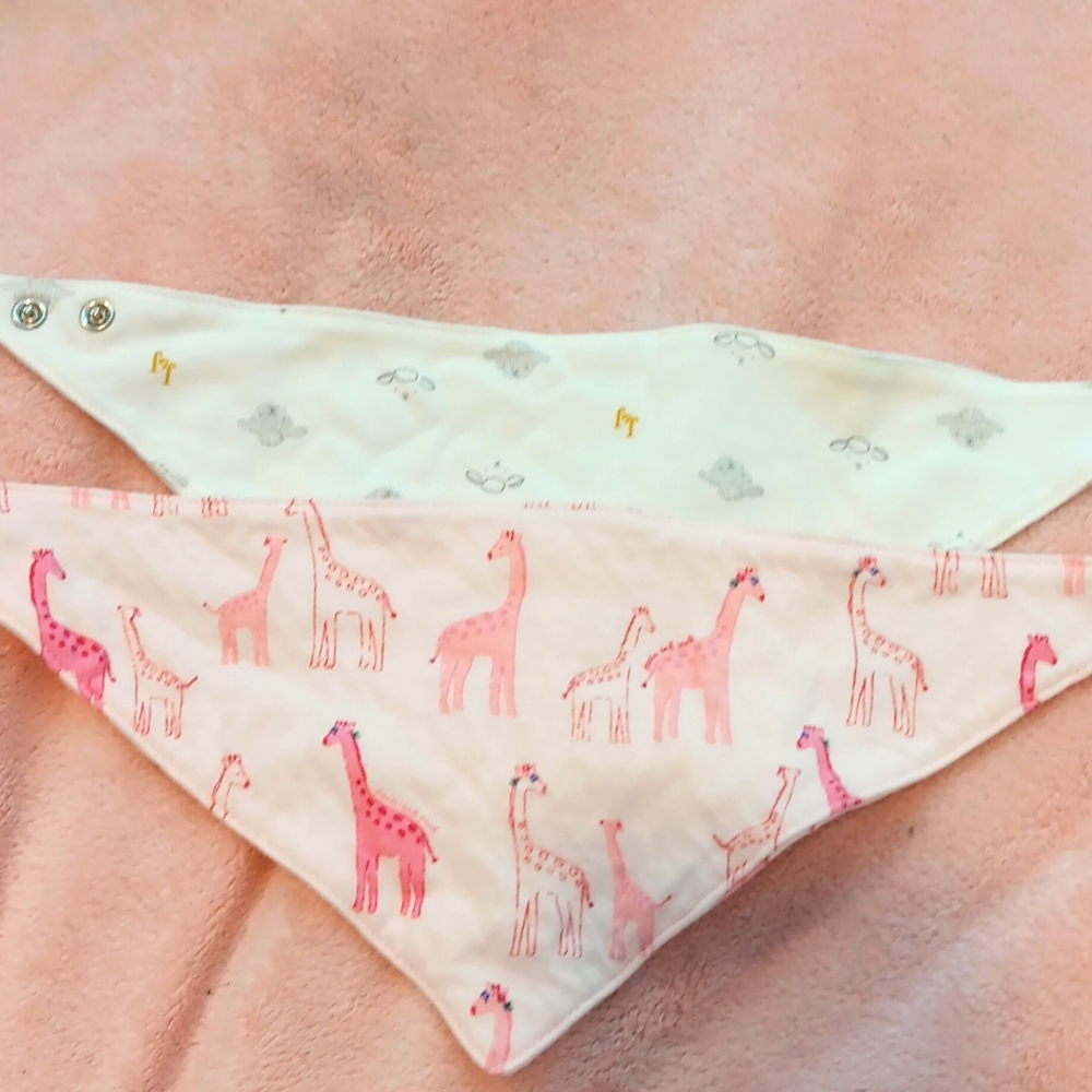 Set of 2 Janie and Jack Bibs